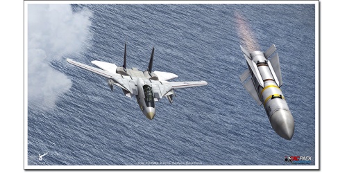 f-14-x-14_1