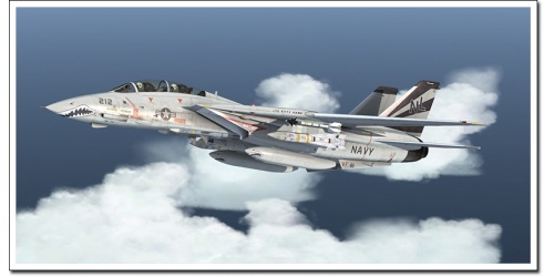 f-14-x-60_13169593